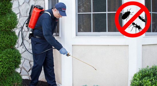 Karacabey Karınca İlaçlama böcek ilaçlama ve haşere kontrolü — ilaclama-tr.com